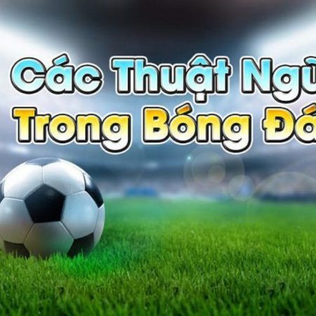 Top 20+ các thuật ngữ trong cá độ bóng đá thường dùng