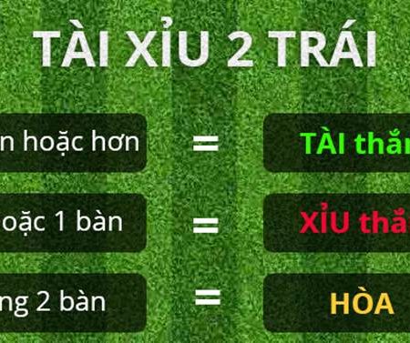 Kèo tài xỉu 2 trái là gì? Hiểu như thế nào cho đúng